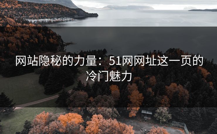 网站隐秘的力量：51网网址这一页的冷门魅力