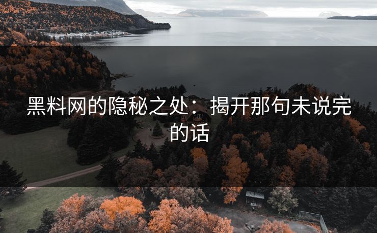 黑料网的隐秘之处：揭开那句未说完的话